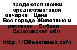 продаются щенки среднеазиатской овчарки › Цена ­ 30 000 - Все города Животные и растения » Собаки   . Саратовская обл.